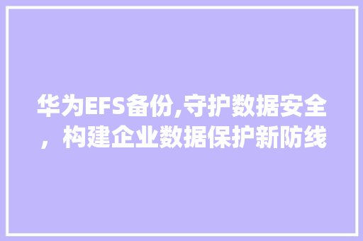 华为EFS备份,守护数据安全，构建企业数据保护新防线(华为efs备份) 手机电脑