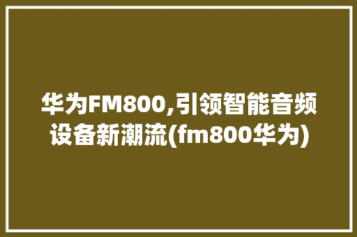 华为FM800,引领智能音频设备新潮流(fm800华为) 手机电脑