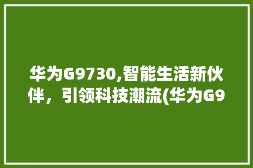华为G9730,智能生活新伙伴，引领科技潮流(华为G9730) 手机电脑