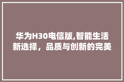 华为H30电信版,智能生活新选择，品质与创新的完美融合(华为h30电信) 手机电脑