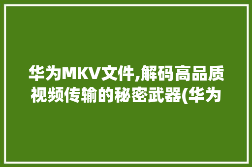 华为MKV文件,解码高品质视频传输的秘密武器(华为mkv文件) 手机电脑
