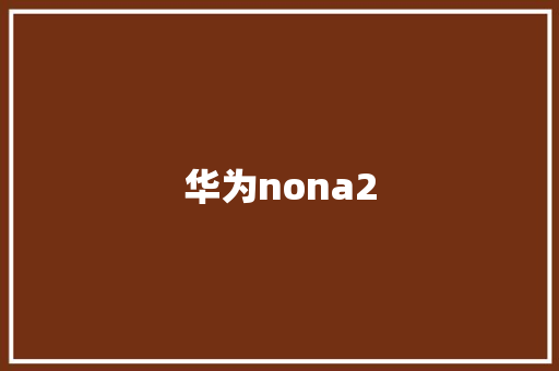 华为nona2 手机电脑
