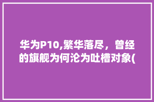 华为P10,繁华落尽，曾经的旗舰为何沦为吐槽对象(华为p10吐槽) 手机电脑