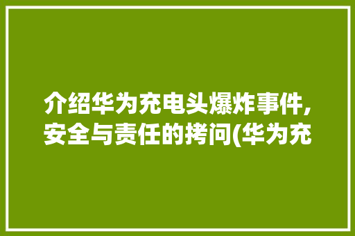 介绍华为充电头爆炸事件,安全与责任的拷问(华为充电头爆炸) 手机电脑