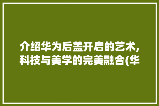 介绍华为后盖开启的艺术,科技与美学的完美融合(华为后盖怎么开) 手机电脑