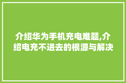 介绍华为手机充电难题,介绍电充不进去的根源与解决方法(华为电充不进去) 手机电脑