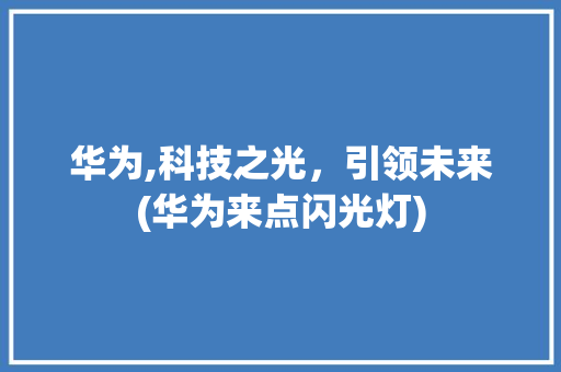 华为,科技之光，引领未来(华为来点闪光灯) 手机电脑