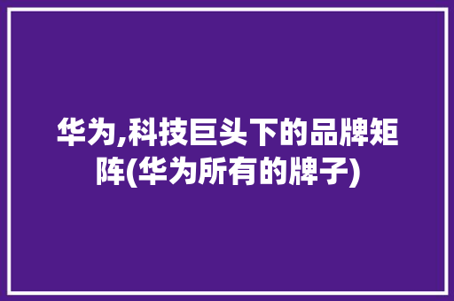 华为,科技巨头下的品牌矩阵(华为所有的牌子) 手机电脑