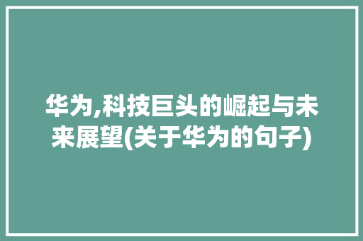 华为,科技巨头的崛起与未来展望(关于华为的句子) 手机电脑