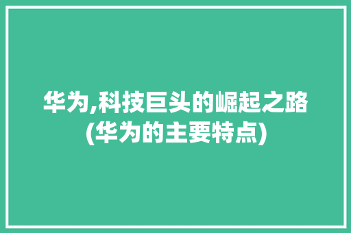 华为,科技巨头的崛起之路(华为的主要特点) 手机电脑