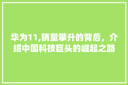 华为11,销量攀升的背后，介绍中国科技巨头的崛起之路(华为11销售额) 手机电脑