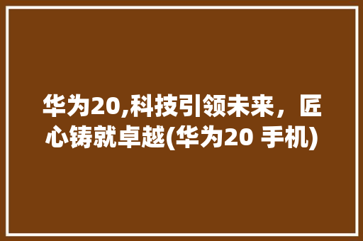 华为20,科技引领未来，匠心铸就卓越(华为20 手机) 手机电脑