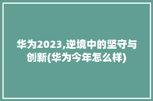 华为2023,逆境中的坚守与创新(华为今年怎么样) 手机电脑