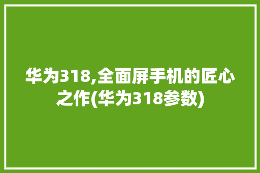 华为318,全面屏手机的匠心之作(华为318参数) 手机电脑