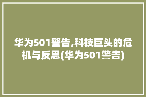 华为501警告,科技巨头的危机与反思(华为501警告) 手机电脑