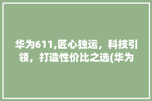 华为611,匠心独运，科技引领，打造性价比之选(华为611报价) 手机电脑