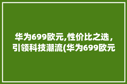 华为699欧元,性价比之选，引领科技潮流(华为699欧元) 手机电脑