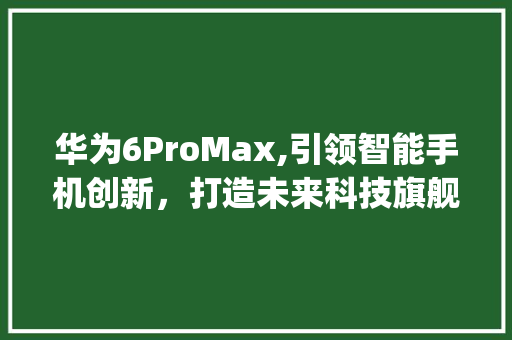 华为6ProMax,引领智能手机创新，打造未来科技旗舰(华为6prom) 手机电脑