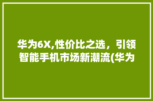 华为6X,性价比之选，引领智能手机市场新潮流(华为6x市场价) 手机电脑