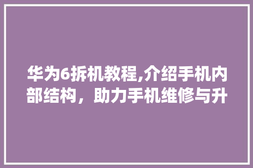 华为6拆机教程,介绍手机内部结构，助力手机维修与升级(华为6拆机教程) 手机电脑