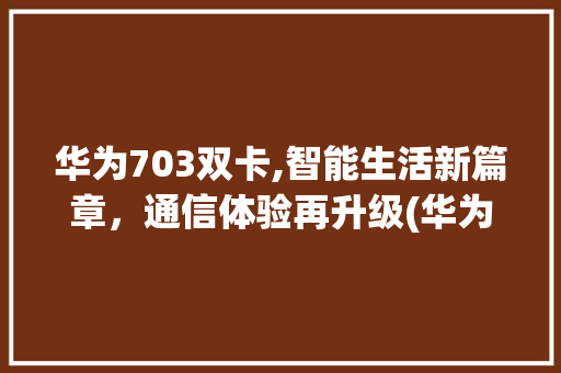 华为703双卡,智能生活新篇章，通信体验再升级(华为703双卡) 手机电脑