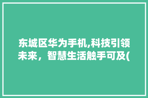 东城区华为手机,科技引领未来，智慧生活触手可及(东城区华为手机) 手机电脑