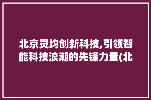 北京灵均创新科技,引领智能科技浪潮的先锋力量(北京灵均创新科技) 健康母婴