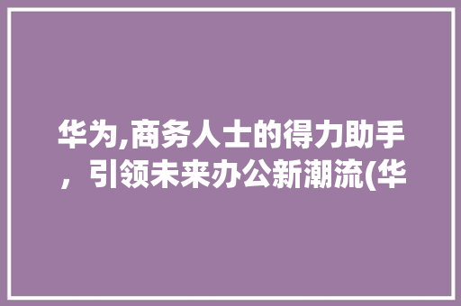 华为,商务人士的得力助手，引领未来办公新潮流(华为受商务人士) 手机电脑