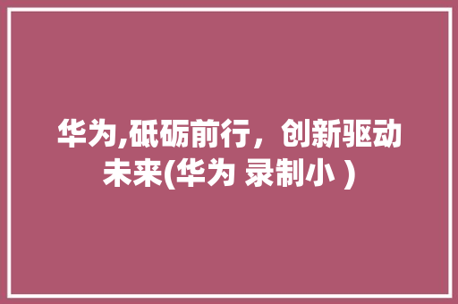 华为,砥砺前行，创新驱动未来(华为 录制小 ) 汽车常识