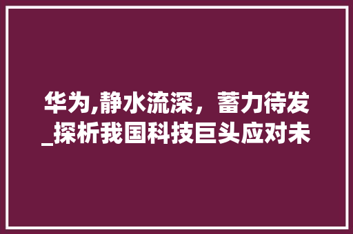 华为,静水流深，蓄力待发_探析我国科技巨头应对未响应挑战的步骤与未来(华为总是未响应) 旅游攻略