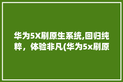 华为5X刷原生系统,回归纯粹，体验非凡(华为5x刷原生) 健康母婴