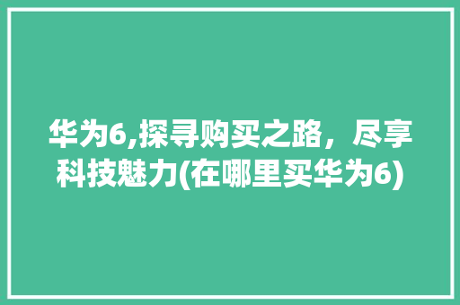 华为6,探寻购买之路，尽享科技魅力(在哪里买华为6) 美食菜谱