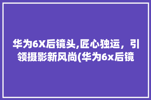 华为6X后镜头,匠心独运，引领摄影新风尚(华为6x后镜头) 手机电脑