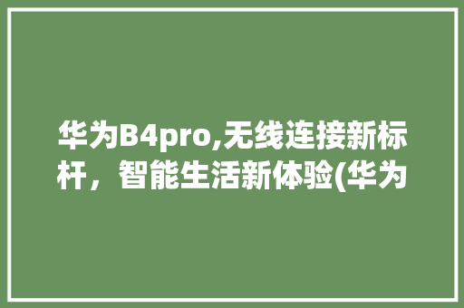 华为B4pro,无线连接新标杆，智能生活新体验(华为B4pro) 手机电脑