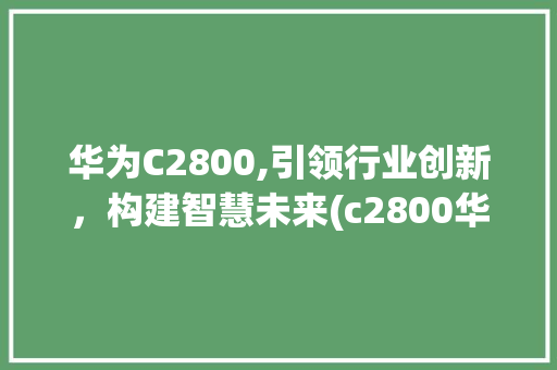 华为C2800,引领行业创新，构建智慧未来(c2800华为) 健康母婴