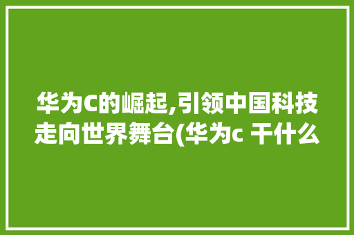 华为C的崛起,引领中国科技走向世界舞台(华为c 干什么) 旅游攻略