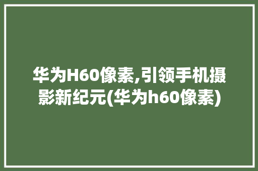 华为H60像素,引领手机摄影新纪元(华为h60像素) 美食菜谱