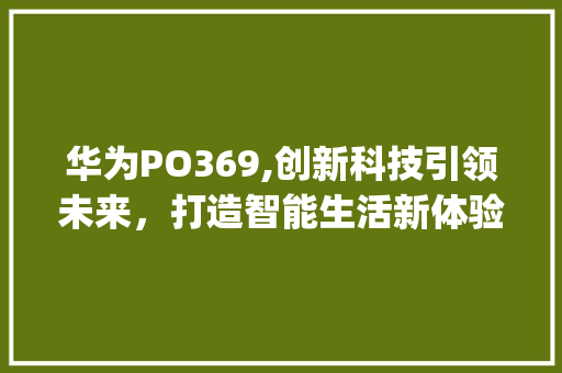 华为PO369,创新科技引领未来，打造智能生活新体验(华为PO369) 手机电脑