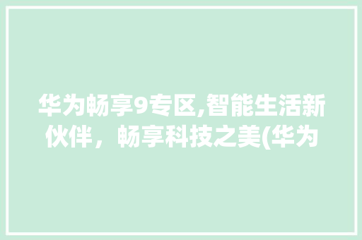 华为畅享9专区,智能生活新伙伴，畅享科技之美(华为畅享9专区) 手机电脑