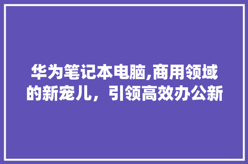 华为笔记本电脑,商用领域的新宠儿，引领高效办公新潮流(华为笔记本商用) 汽车常识