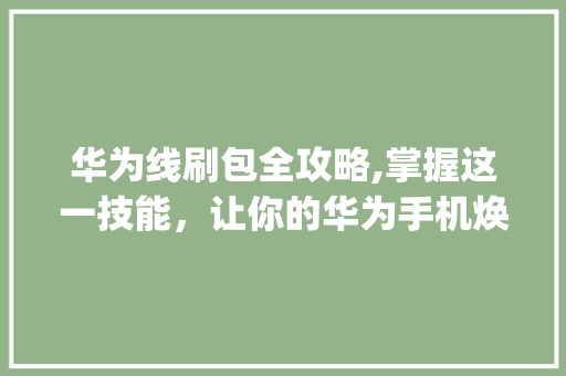 华为线刷包全攻略,掌握这一技能，让你的华为手机焕发新生(华为怎么线刷包)