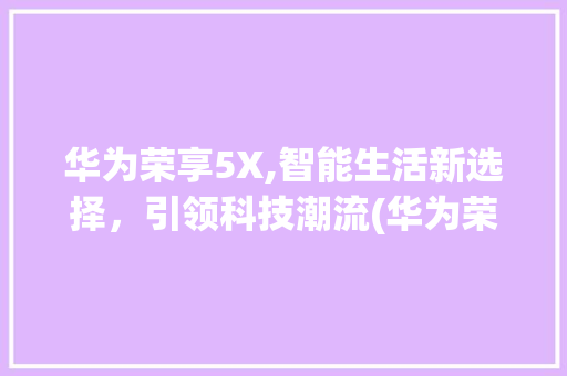 华为荣享5X,智能生活新选择，引领科技潮流(华为荣享5 X) 时尚穿搭