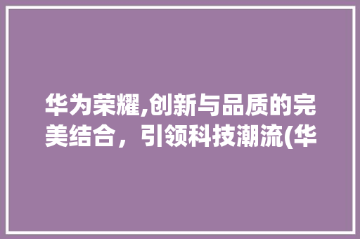 华为荣耀,创新与品质的完美结合，引领科技潮流(华为荣耀管方网) 时尚穿搭
