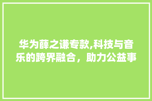 华为薛之谦专款,科技与音乐的跨界融合，助力公益事业发展(华为薛之谦专款) 时尚穿搭