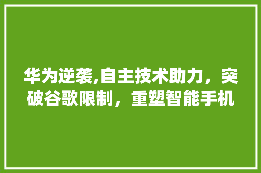 华为逆袭,自主技术助力，突破谷歌限制，重塑智能手机市场格局(华为可以刷谷歌) 旅游攻略