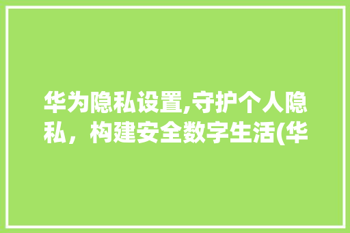 华为隐私设置,守护个人隐私，构建安全数字生活(华为有隐私设置) 汽车常识
