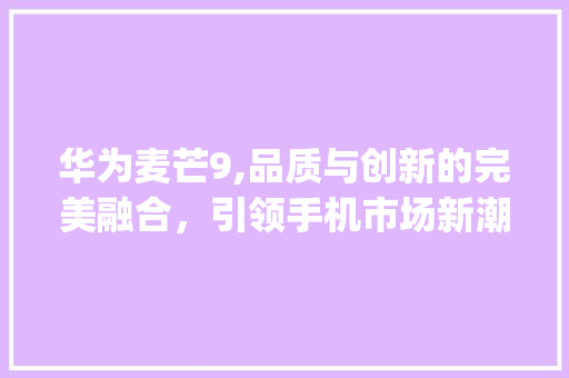 华为麦芒9,品质与创新的完美融合，引领手机市场新潮流(华为麦芒9口碑) 美食菜谱