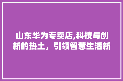 山东华为专卖店,科技与创新的热土，引领智慧生活新潮流(山东华为专卖店) 汽车常识