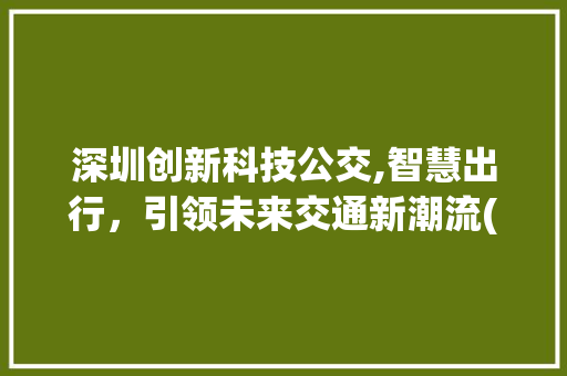 深圳创新科技公交,智慧出行，引领未来交通新潮流(深圳创新科技公交) 旅游攻略