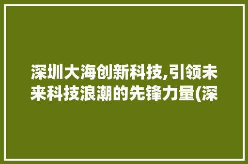 深圳大海创新科技,引领未来科技浪潮的先锋力量(深圳大海创新科技) 旅游攻略